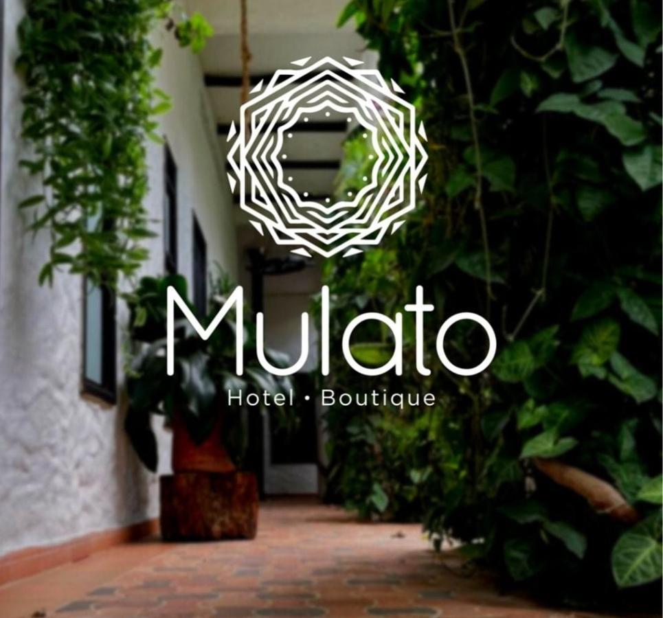 Hotel Mulato El Colegio  Kültér fotó